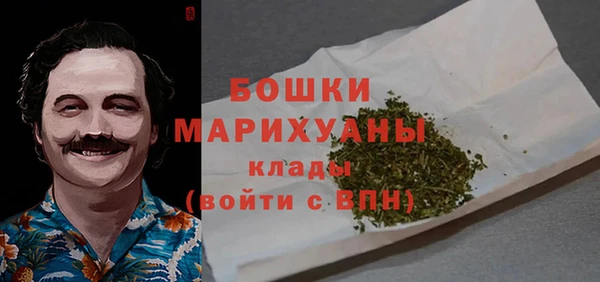 тгк Медногорск