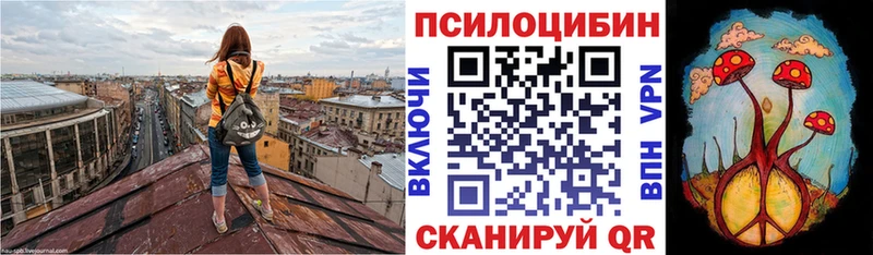 Галлюциногенные грибы Psilocybine cubensis что такое наркотик Гуково