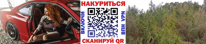 Бошки марихуана план  сколько стоит  Гуково 